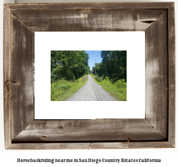 horseback riding near me in San Diego Country Estates, California